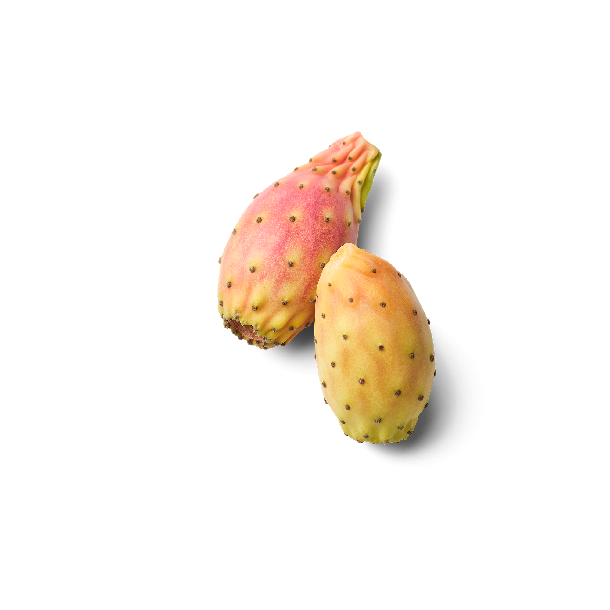 Prickly pear